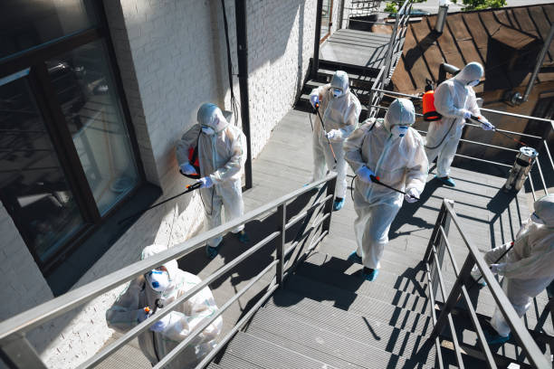 Mold Remediation for Rental Properties in Hunters Creek, FL