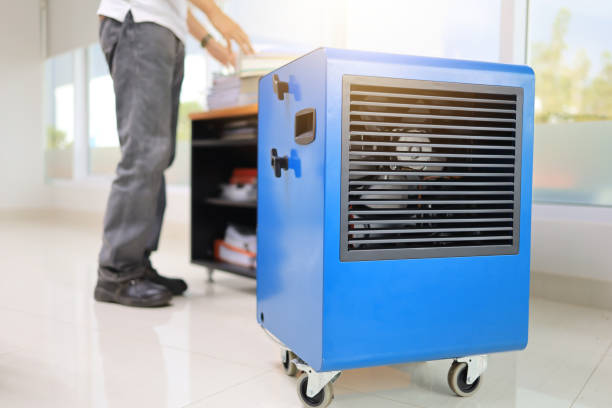 Best Forensic Mold Investigation  in Hunters Creek, FL