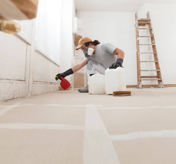 Mold Documentation for Insurance Claims in Hunters Creek, FL